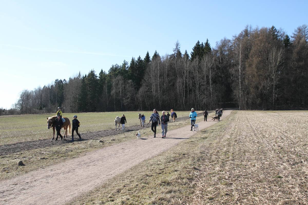 Ihmisiä, koiria ja hevosia kävelyllä Lystikukkulan edessä pellolla.