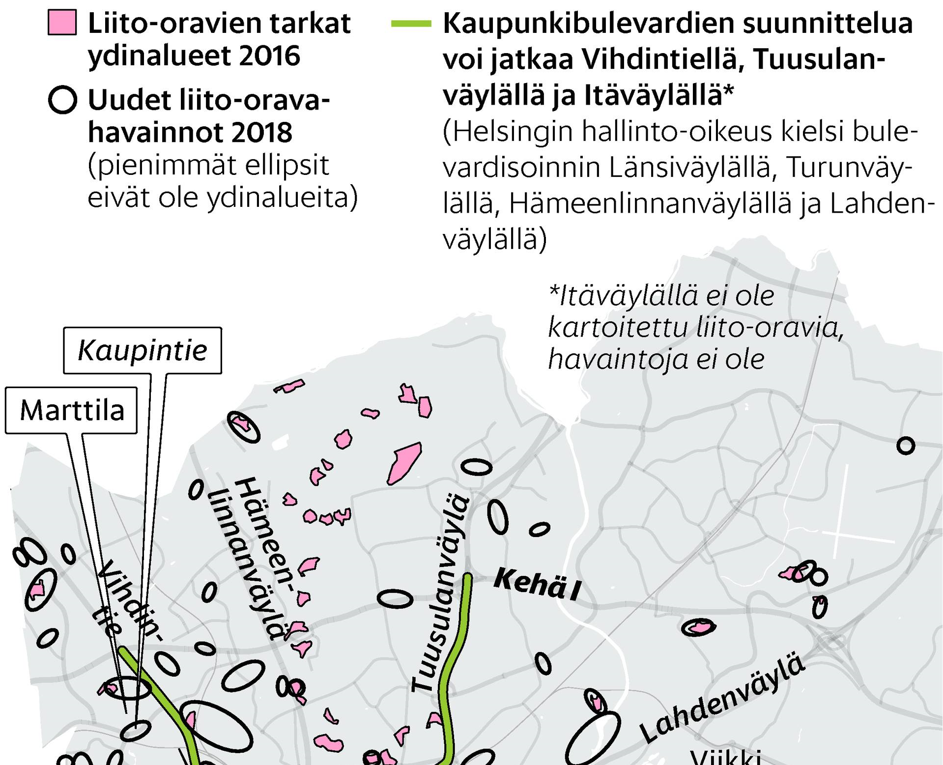 Liito-oravat_2018_Crop