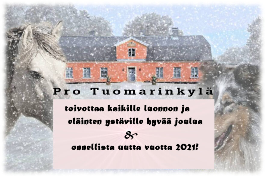 Pro Tuomarinkylä, joulu 2020